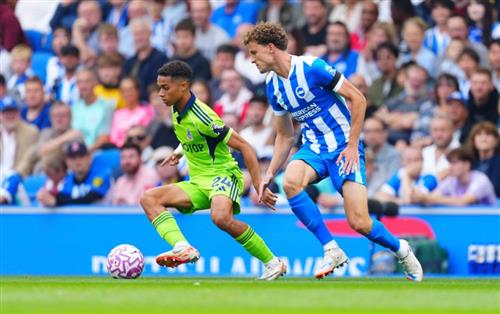 布莱顿 vs 富勒姆